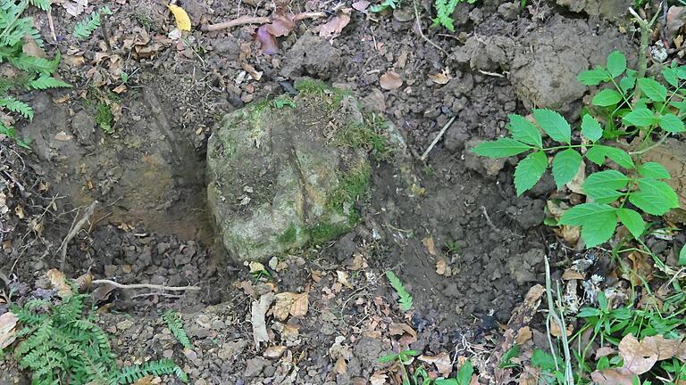 Zum Tag des offenen Denkmals führen die Großrinderfelder Wanderwarte entlang der alten Gemeindegrenze und weisen auf die alten Grenzsteine und ihre Geschichte hin