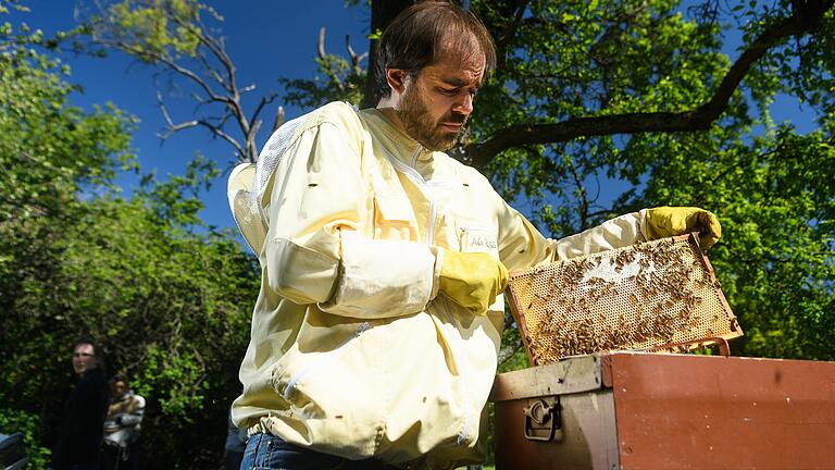 Welche Aufgaben haben die einzelnen Bienen im Bienenstaat? Welche Biene entscheidet, was gemacht wird? Dr. Thomas Münz vom Lehrstuhl für Verhaltensphysiologie und Soziobiologie an der Universität Würzburg erforscht am Biozentrum das Verhalten der Bienen. Welche Aufgaben haben die einzelnen Bienen im Bienenstaat? Welche Biene entscheidet, was gemacht wird? Dr. Thomas Münz vom Lehrstuhl für Verhaltensphysiologie und Soziobiologie an der Universität Würzburg erforscht am Biozentrum das Verhalten der Bienen.