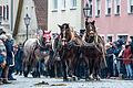 Berchinger Rossmarkt       -  Der Berchinger Rossmarkt hat eine lange Tradition.