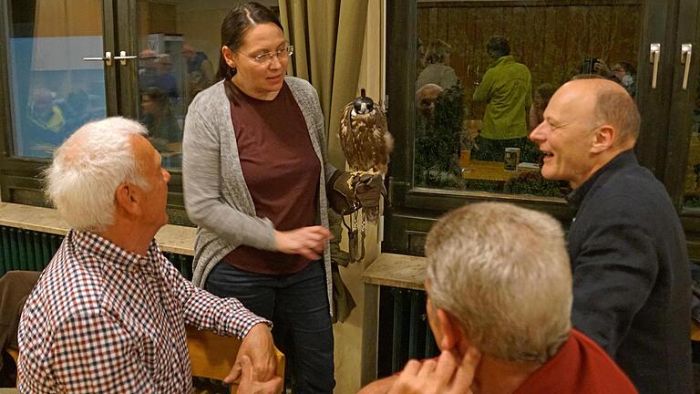 Falknerin Karin Schäfer erklärt Tierarzt Christoph Schäuble (rechts) und interessierten Zuhörern die Eigenschaften und das Jagdverhalten des Luggerfalken Jule. Er ist vor allem auf dem indischen Subkontinent beheimatet. Weil er gut hört und sieht, trägt er in Bergtheim eine Haube auf dem Kopf. Die vielen Eindrücke im Sportheim würden ihn zu sehr stressen.