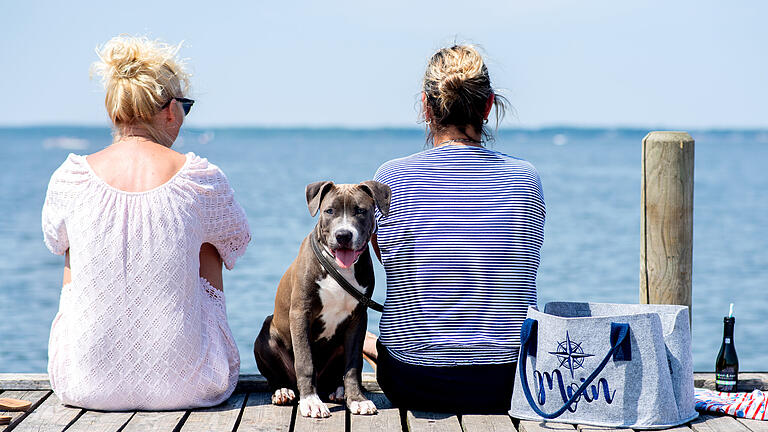 245089911.jpg       -  Badespaß oder Endstation Steg? Wo Hunde am Gardasee baden dürfen.