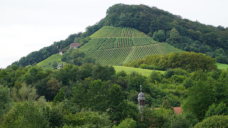 Das Ziel der Wanderung 'Rund um den Handthaler Stollberg' ist der auf 400 Meter gelegenene höchste Weinberg Frankens. Das Ziel der Wanderung 'Rund um den Handthaler Stollberg' ist der auf 400 Meter gelegenene höchste Weinberg Frankens.