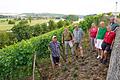 Ein Arbeitsplatz mit toller Aussicht - der Gemeindeweinberg in Wipfeld. Das Foto zeigt von links: Werner Pfriem, Bürgermeister Tobias Blesch, Werner und Marita Oechsner, Birgit und Herbert Erk, Anne Seufert.