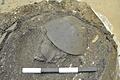 Archäologische Funde       -  Bei archäologischen Ausgrabungen sind im Landkreis Weilheim-Schongau Funde an einem bronzezeitlichen Gräberfelder und an einer Straße aus der Römerzeit gesichert worden. Das Foto zeigt Grabbeigaben aus der römischen Kaiserzeit.