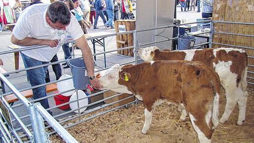 Zwischen GPS- und Bullen-Mast: Landwirtschaft gab's zum Anfassen.