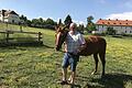 Hans Steger und sein Pferd Athene.