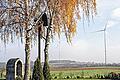 Umstritten: Windkraft und ihre Standorte