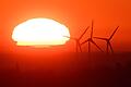 Windmühlen gibt es etwa seit dem 7. Jahrhundert. Doch die Ölkrise der 70-er Jahre und der Klimawandel haben den Boom der Windräder ausgelöst. (Symbolfoto)