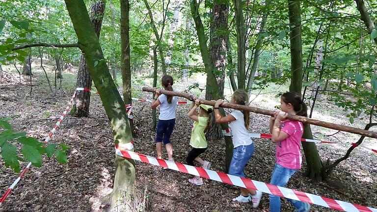 Spannendes und Kniffliges für Ferienpass-Kinder im Stadtwald