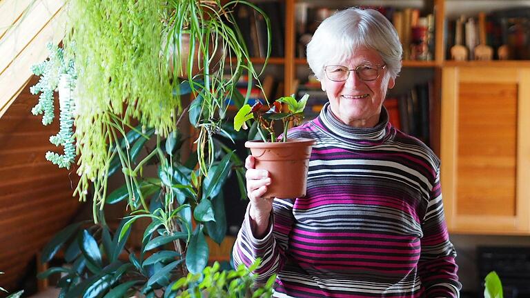 Eines der Hobbys von Lydia Kerkel aus Kitzingen sind ihre Pflanzen und ihr Garten. Das hält sie fit. Eines der Hobbys von Lydia Kerkel aus Kitzingen sind ihre Pflanzen und ihr Garten. Das hält sie fit.