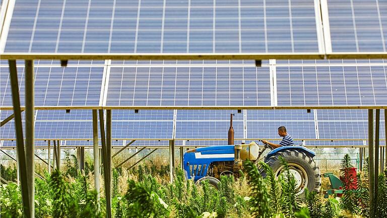 Bei aufgeständerten Solarmodulen kann der Boden darunter auch mit Schleppern bewirtschaftet werden.