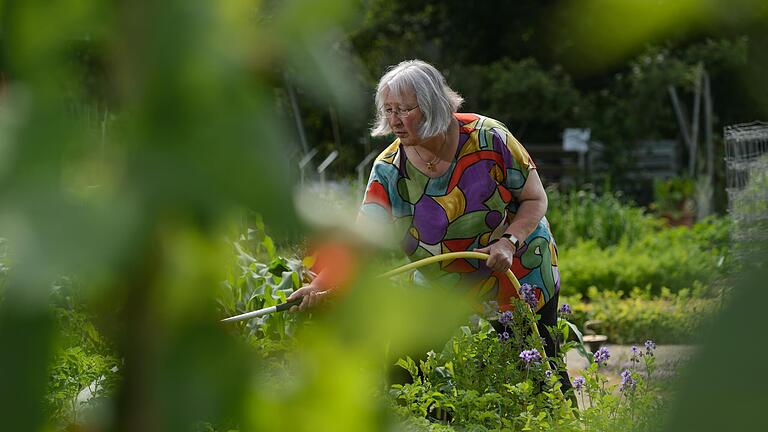 Marianne Scheu-Helgert, Leiterin der Gartenakademie an der Landesanstalt für Weinbau und Gartenbau in Veitshöchheim, hat Tipps für einen sparsamen Umgang mit Wasser im eigenen Garten. Marianne Scheu-Helgert, Leiterin der Gartenakademie an der Landesanstalt für Weinbau und Gartenbau in Veitshöchheim, hat Tipps für einen sparsamen Umgang mit Wasser im eigenen Garten.