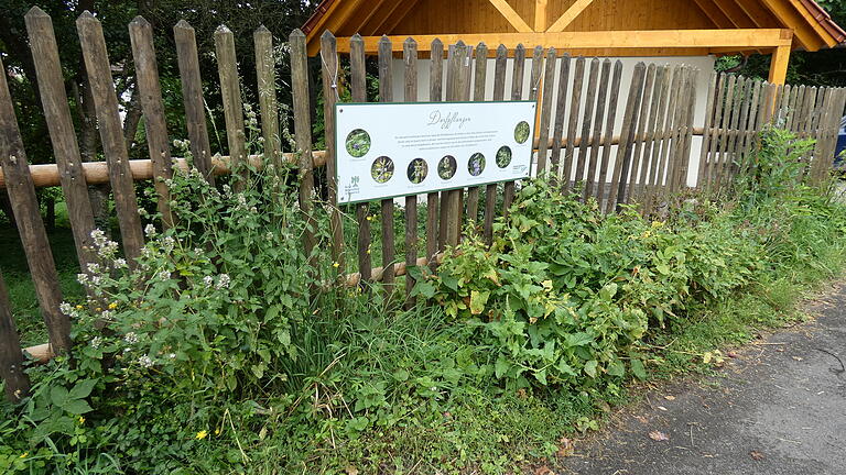 Rund zehn Quadratmeter hat Otto Elsner in Rottenstein vor seinem Gartenzaun für Dorfpflanzen reserviert. Rund zehn Quadratmeter hat Otto Elsner in Rottenstein vor seinem Gartenzaun für Dorfpflanzen reserviert.