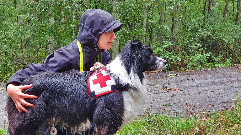 Zu jeder Tag- und Nachtzeit und bei jedem Wetter sind die Hunde der Rettungshundestaffel des BRK Rhön-Grabfeld unterwegs. Mit&nbsp; dem Kommando 'Such und Find!' werden sie losgeschickt.
