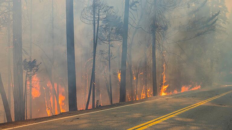 Waldbrände in den USA - Kalifornien       -  Angesichts des Klimawandels warnen Experten, dass Feuer häufiger auftreten und mehr Zerstörungskraft entfalten.