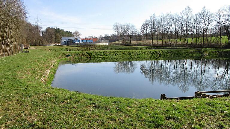 Sollen die Teiche Biotope bleiben oder Platz machen für PV-Anlagen? Der Werkausschuss Karlstadt macht sich die Entscheidung nicht leicht.