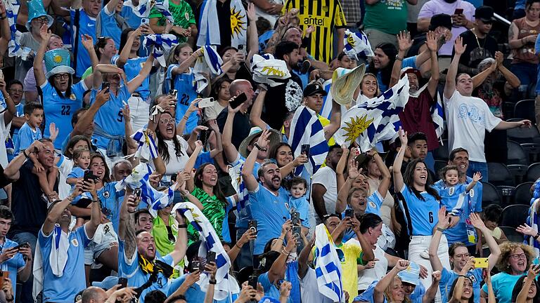 Copa América: Uruguay - Brasilien       -  Große Freude auf der Tribüne nach dem Erfolg.