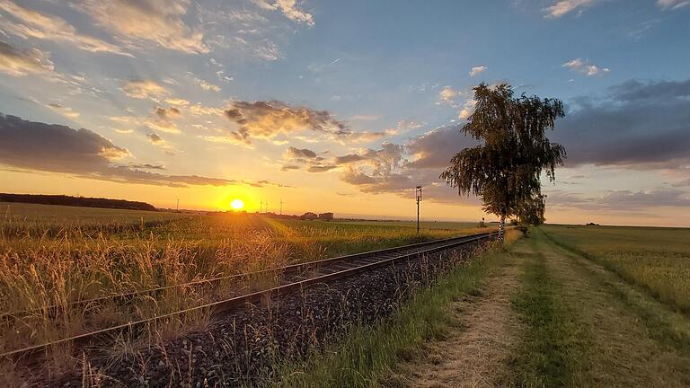 Der Grundeigentümer der stillgelegten Trasse der Steigerwaldbahn, hier im Bild bei&nbsp; Lülsfeld, hat den baulichen Zustand von Gleisen, Schwellen und Schotter untersuchen lassen.