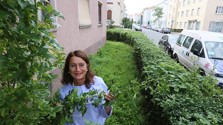 Grün ist der Vorgarten schon, doch er soll noch schöner werden: Barbara Meyer aus der Sanderau möchte mit Hilfe des Förderungsprogramms der Stadt eine grüne Oase schaffen.