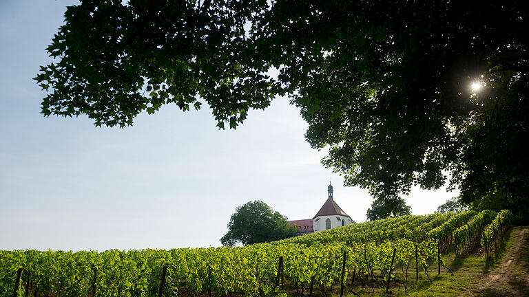 Blick auf die Vogelsburg bei Volkach am Samstag (04.07.15).