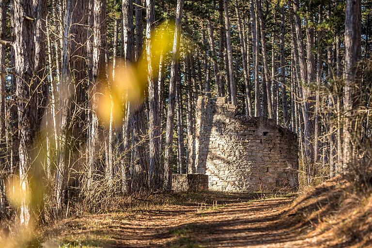 Die Wartturmruine steht inmitten eines Schwarzkiefernwaldes. Der Turm diente einst als Beobachtungsturm. Die Wartturmruine steht inmitten eines Schwarzkiefernwaldes. Der Turm diente einst als Beobachtungsturm.