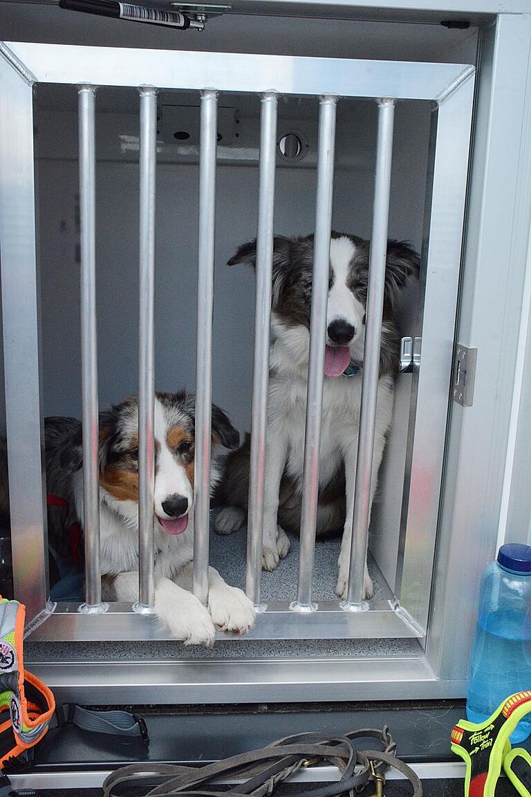 Im neuen Einsatzfahrzeug der Rettungshundestaffel Rhön-Grabfeld haben die Hunde klimatisierte Boxen und fühlen sich da sichtlich wohl.