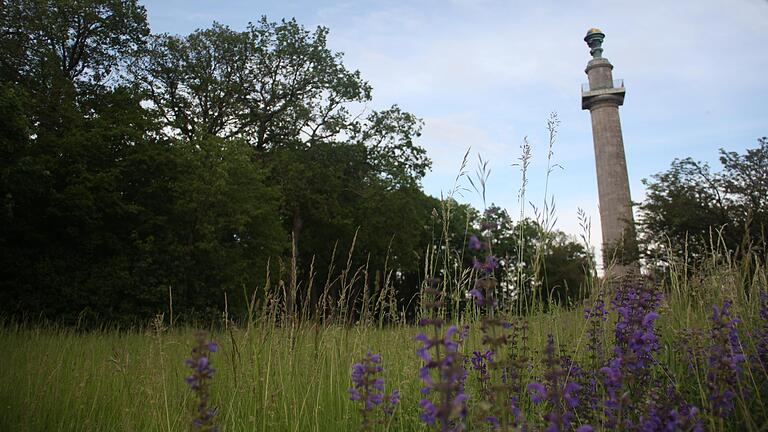 Im Wald (links im Bild) an der Konstitutionssäule bei Gaibach soll ein Bestattungswald entstehen. Natur- und Denkmalschutzbehörden haben Bedenken dagegen.