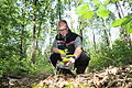 Das freut den Waldexperten: Felix Reichelt, der neue Leiter des Forstreviers Gerolzhofen, zeigt eine etwa drei Jahre alte Vogelkirsche, die natürlich gewachsen ist im Schallfelder Wald.&nbsp;