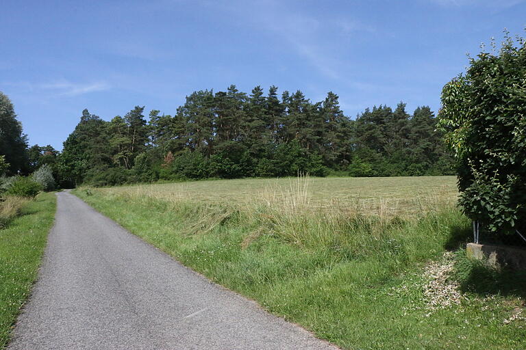 Gute Lage: Das Waldkindergarten-Grundstück grenzt direkt an eine Wiese. Auf der anderen Seite schließt Wald in städtischem Besitz an. Erreicht werden kann das Grundstück über die asphaltierte Straße. Gute Lage: Das Waldkindergarten-Grundstück grenzt direkt an eine Wiese. Auf der anderen Seite schließt Wald in städtischem Besitz an. Erreicht werden kann das Grundstück über die asphaltierte Straße. 