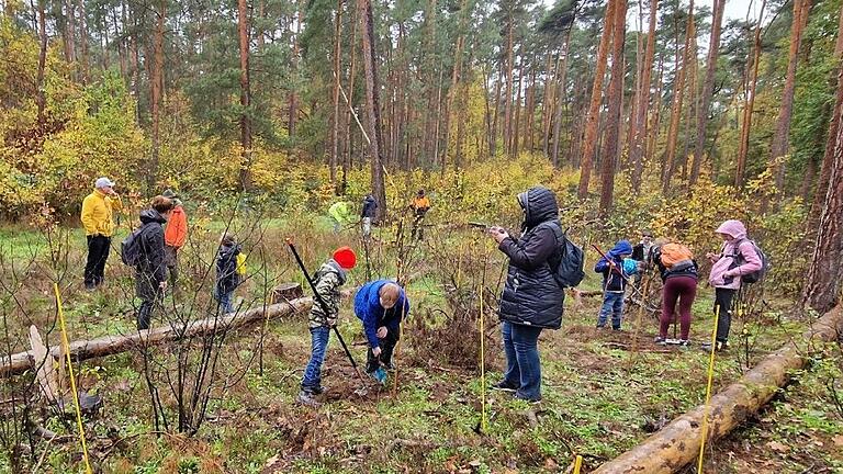 Aktion zur Waldverjüngung im Sommerhäuser Forst im Jahr 2022: Mit von der Partie waren die Klassen 3 bis 5 der Rupert-Egenberger-Schule, die mit Revierförster Wolfgang Schölch zunächst Eicheln sammelten und dann gemeinsam aussäten.