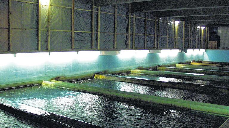 Blick in das Wasserwerk: Das im Wasserwerk gesammelte und gefilterte Wasser wird von den Wehranlagen in die Hochbehälter und in das Leitungssystem gepumpt. Blick in das Wasserwerk: Das im Wasserwerk gesammelte und gefilterte Wasser wird von den Wehranlagen in die Hochbehälter und in das Leitungssystem gepumpt.
