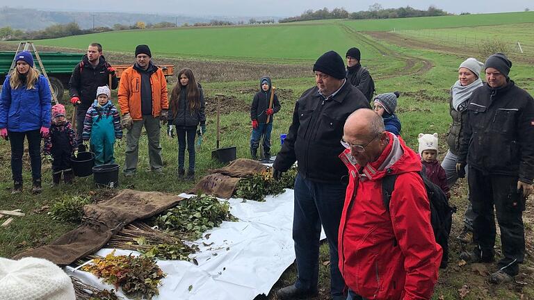 1000 Bäumchen haben Freiwillige in der Waldabteilung Eichenlohe gepflanzt.