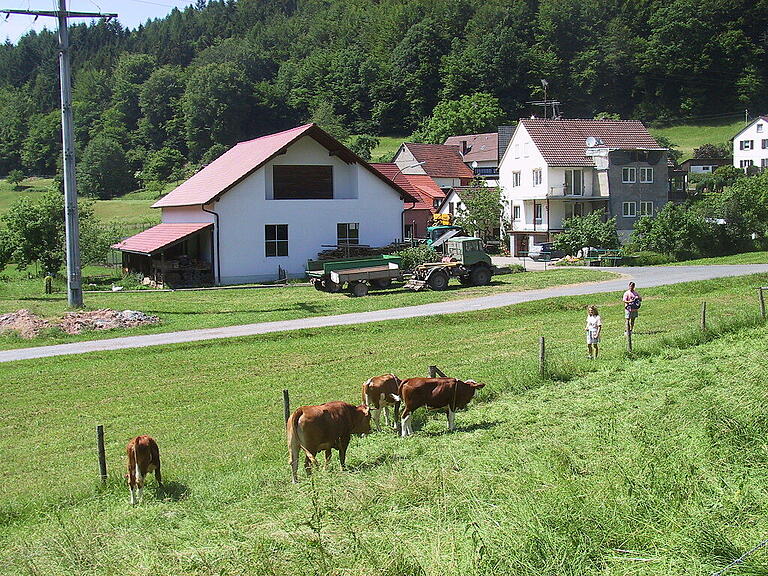 Am Rande der Waldeinsamkeit liegt im Haslochtal der Weiler Zwieselmühle. Hier ist Förster Holzheimer zu Hause.