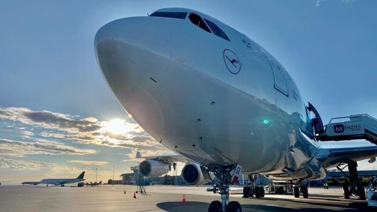 Mehrere Flugzeuge der Lufthansa auf dem Rollfeld. Foto: Lufthansa       -  Mehrere Flugzeuge der Lufthansa auf dem Rollfeld. Foto: Lufthansa