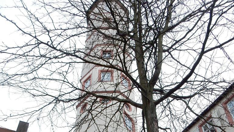 Über den Schrotturm &ndash; ein Treppenturm &ndash; ist die Geschäftsstelle des Historischen Vereins zu erreichen.