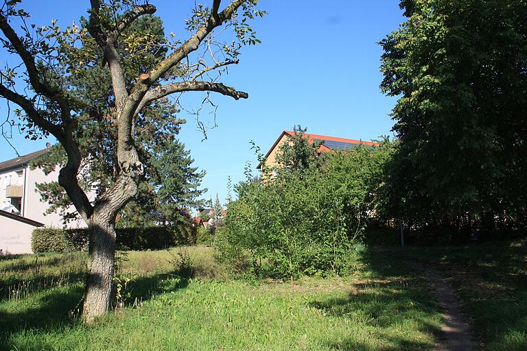 Die WBG hat die Fläche des früheren Spielplatzes zwischen Hermann-Löns- und Martin-Luther-Straße in Gerolzhofen gekauft, um dort ein Mehrfamilienhaus zu bauen. Dies soll bis Ende 2025 geschehen. Die WBG hat die Fläche des früheren Spielplatzes zwischen Hermann-Löns- und Martin-Luther-Straße in Gerolzhofen gekauft, um dort ein Mehrfamilienhaus zu bauen. Dies soll bis Ende 2025 geschehen.