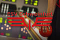 ESV Schweinfurt Logo