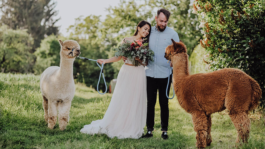 Alexandra Feitsch: Hochzeitsfotograf finden       -  Um viele schöne Momente am Hochzeitstag festzuhalten, sollte der Hochzeitsfotograf für mehrere Stunden gebucht werden.