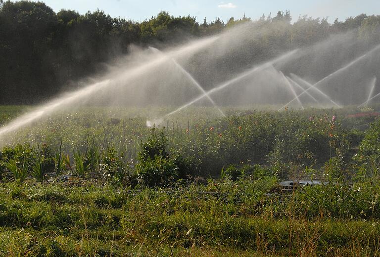 Diese Fläche mit Zierpflanzen wird auch über das Brauchwassersystem des Albertshöfer Wasserbeschaffungsverbands bewässert.