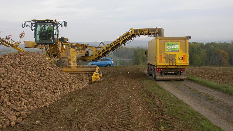Mit dieser modernen Technik wird ein Sattelzug in nur zehn Minuten mit 25 Tonnen Rüben beladen. Mit dieser modernen Technik wird ein Sattelzug in nur zehn Minuten mit 25 Tonnen Rüben beladen.