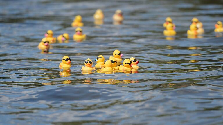 Es sollen am 18. Mai rund 7000 Badeenten auf dem Main schwimmen, wünscht sich der Verein Wildwasser. Es sollen am 18. Mai rund 7000 Badeenten auf dem Main schwimmen, wünscht sich der Verein Wildwasser. 