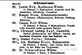 In der Schlossstrasse vermieteten die meisten Hausbesitzer Zimmer an Kurgäste. Kaufmanns-Wittwe Louise Eck zum Beispiel (ganz oben) hatte elf Zimmer und ein Bade-Cabinet.  Quelle: Google-Books/Repro: Britz       -  In der Schlossstrasse vermieteten die meisten Hausbesitzer Zimmer an Kurgäste. Kaufmanns-Wittwe Louise Eck zum Beispiel (ganz oben) hatte elf Zimmer und ein Bade-Cabinet.  Quelle: Google-Books/Repro: Britz