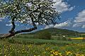 Die Rhön im Sommerkleid. Die Coronapandemie macht sich in der hiesigen Tourismusbranche bemerkbar. Foto: Archiv Jürgen Hüfner       -  Die Rhön im Sommerkleid. Die Coronapandemie macht sich in der hiesigen Tourismusbranche bemerkbar. Foto: Archiv Jürgen Hüfner