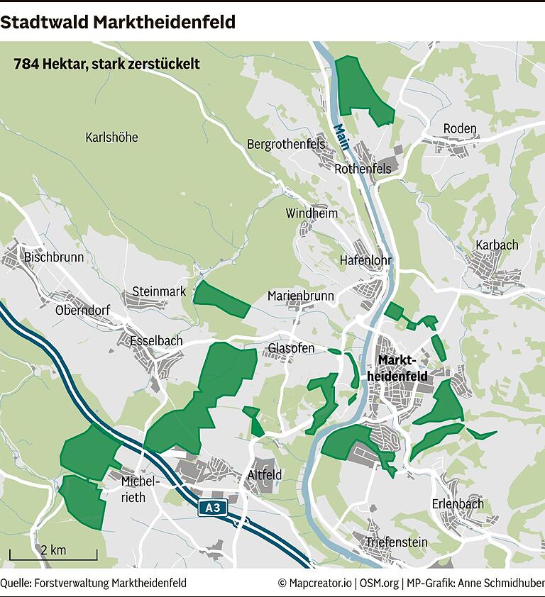 Marktheidenfeld: Ist der Stadtwald noch zu retten?