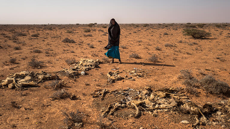 Schwere Hungersnot in Somalia       -  Überlebenskampf: Ostafrika leidet unter einer extremen Dürreperiode. Die aktuelle Hungerkrise am Horn von Afrika hat auch mit dem Klimawandel zu tun.