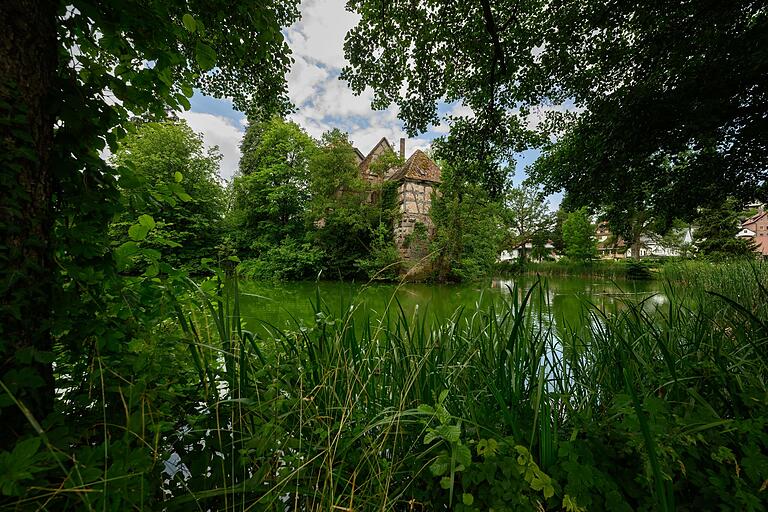 Blick auf das sogenannte 'Alte Burg' in Burgsinn: Das gut 1000 Jahre alte Wasserschloss ist das Wahrzeichen des Marktes im Sinntal. Blick auf das sogenannte 'Alte Burg' in Burgsinn: Das gut 1000 Jahre alte Wasserschloss ist das Wahrzeichen des Marktes im Sinntal.