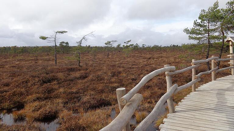 Das Schwarze Moor in der Rhön leidet unter dem Klimawandel: Unterfränkische Politiker von CSU und Grünen verlangen nun gemeinsam von der Staatsregierung schnelle Rettungsmaßnahmen.