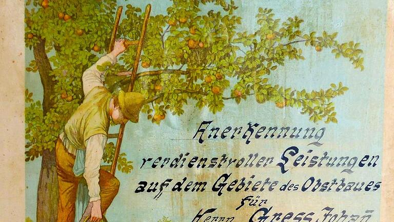 Dokument über das frühe Tun des Obst- und Gartenbauvereins: Anerkennungsurkunde des Bezirksverbandes von 1927 für Mitglied Johann Gress aus Grettstadt.