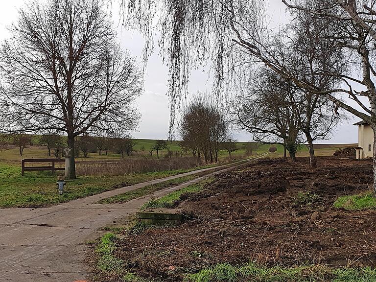 So sieht es aktuell am ehemaligen Ponyhof in Prosselsheim aus: Große Bäume wurden gefällt, aber auch einige davon stehen gelassen.