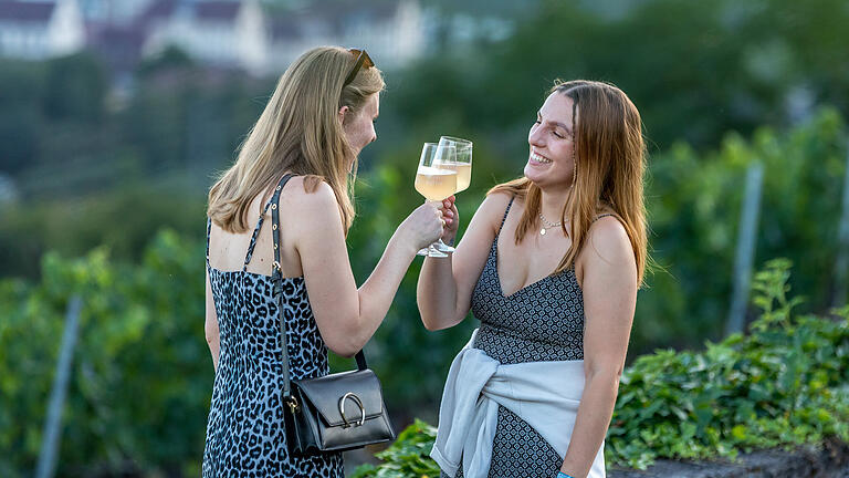 Wein am Stein       -  Zahlreiche Menschen besuchen am Freitagabend (14.07.23) bei sommerlichen Temperaturen das Musikfestival „Wein am Stein“ in Würzburg.